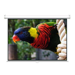 Manual Projection Screens