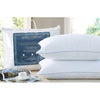 Cotton House - Set of Two Pillows, Microfiber Gel, 100% Egyptian Cotton Cover, Standard Size, Made in Canada - - Mounts For Less