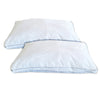 Cotton House - Set of Two Pillows, Microfiber Gel, 100% Egyptian Cotton Cover, Standard Size, Made in Canada - - Mounts For Less