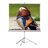 EluneVision - Portable Projection Screen on Tripod, Square Format 1:1 - - Mounts For Less