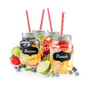 JS Gourmet - Set of 4 Mason Jar Glasses, Lid and Straw Included - 76-7-99049 - Mounts For Less