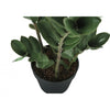 Monarch Specialties I 9506 - Artificial Plant, 29" Tall, Zz Tree, Indoor, Faux, Fake, Floor, Greenery, Potted, Real Touch, Decorative, Green Leaves, Black Pot - 83-9506 - Mounts For Less