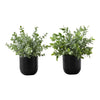 Monarch Specialties I 9580 - Artificial Plant, 11" Tall, Eucalyptus Grass, Indoor, Faux, Fake, Table, Greenery, Potted, Set Of 2, Decorative, Green Leaves, Black Pots - 83-9580 - Mounts For Less
