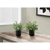 Monarch Specialties I 9580 - Artificial Plant, 11" Tall, Eucalyptus Grass, Indoor, Faux, Fake, Table, Greenery, Potted, Set Of 2, Decorative, Green Leaves, Black Pots - 83-9580 - Mounts For Less