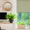 Versailles - Cordless Roller Shade, Marcellus Collection, Soft Close, Green (Available in 15 Sizes) - - Mounts For Less