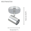 Xtricity - 1 Head Ceiling Light, 5.11 '' Width, From The Westminster Collection, Chrome - 76-5-90067 - Mounts For Less