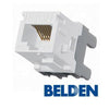 Belden AX101065 MDVO Connector Cat6 RJ-45 Punch Type 110 Female White - 88-0077 - Mounts For Less