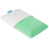 Blu Sleep - Aloe Ice Gel Foam Pillow with Cover, Aloe Infused, Queen Size High Profile - 59-PB1-BAG-TOY-QHI - Mounts For Less