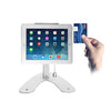 CTA Digital - Kiosk Holder With Anti-Theft System, Lockable, For Ipad and Ipad Air, Gray - 67-CEPAD-ASK - Mounts For Less