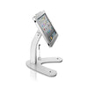 CTA Digital - Kiosk Holder With Anti-Theft System, Lockable, For Ipad and Ipad Air, Gray - 67-CEPAD-ASK - Mounts For Less