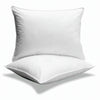Cotton House - Set of Two Pillows 100% Polyester Fibre, Hypoallergenic, Random Colors, Made in Canada - 57-PLTWPT - Mounts For Less