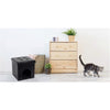Jessar - Ottoman / Footstool With Animal Hideout, From The Maddox Collection, Black - - Mounts For Less