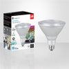 Xtricity - Dimmable Energy Saving LED Bulb, 18.5W, E26 Base, 5000K Daylight - 76-1-50013 - Mounts For Less
