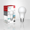 Xtricity - Energy Saving LED Bulb, 9W, E26 Base, 5000K Daylight - 76-1-40004 - Mounts For Less