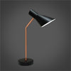 Xtricity Gooseneck desk lamp Corinna - 76-1-69053 - Mounts For Less