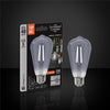 Xtricity- Old Fashioned Smoke LED Bulb, 5W, E26 Base, 5000K Daylight - 76-1-50079 - Mounts For Less