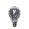 Xtricity - Old Fashioned Smoke LED Bulb, 5W, E26 Base, 5000K Daylight - 76-1-50078 - Mounts For Less