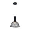Xtricity - Pendant Light, 9.8 '' Wide, From The Carlton Collection, Black - 76-5-90142 - Mounts For Less