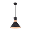 Xtricity - Pendant Light, Width 12.9 '', From the Foster Collection, Black - 76-5-90152 - Mounts For Less