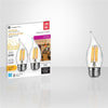 Xtricity - Set of 2 Dimmable Energy Saving LED Bulbs, 5.5W, E26 Base, 3000K Soft White - 76-1-40033 - Mounts For Less