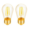 Xtricity - Set of 2 Old Fashioned LED Bulbs, 3W, E26 Base, 2200K Soft White - 76-1-40054 - Mounts For Less