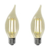 Xtricity - Set of 2 Old Style LED Bulbs, 5.5W, E26 Base, 2200K Soft White - 76-1-40018 - Mounts For Less